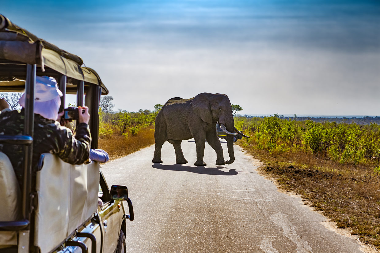 Kruger national park