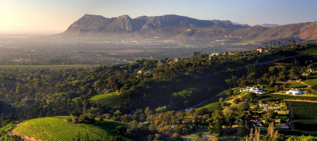Winelands in Sudafrica