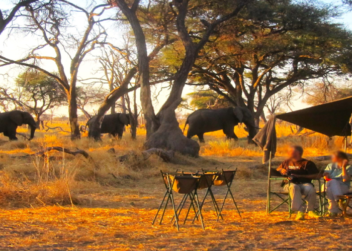 Footprint of Africa Botswana mobile camp