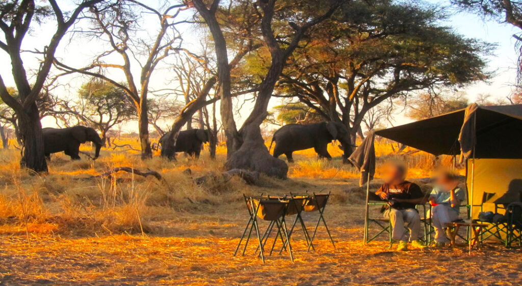 Botswana Camping
