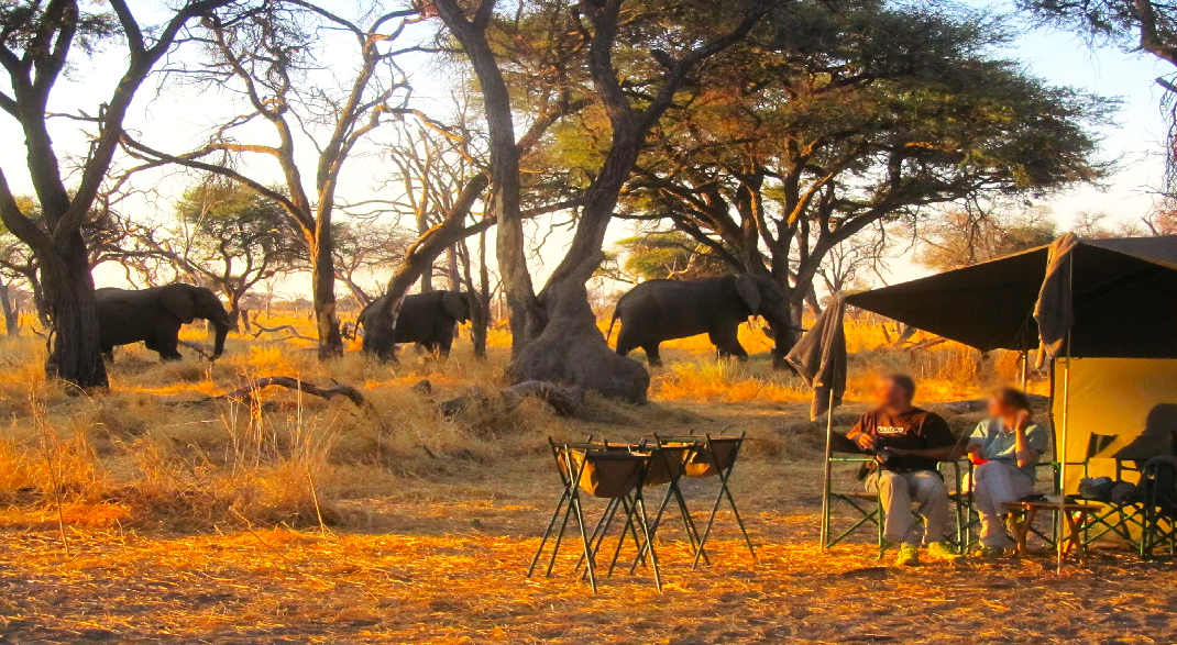 Footprint of Africa Botswana mobile camp