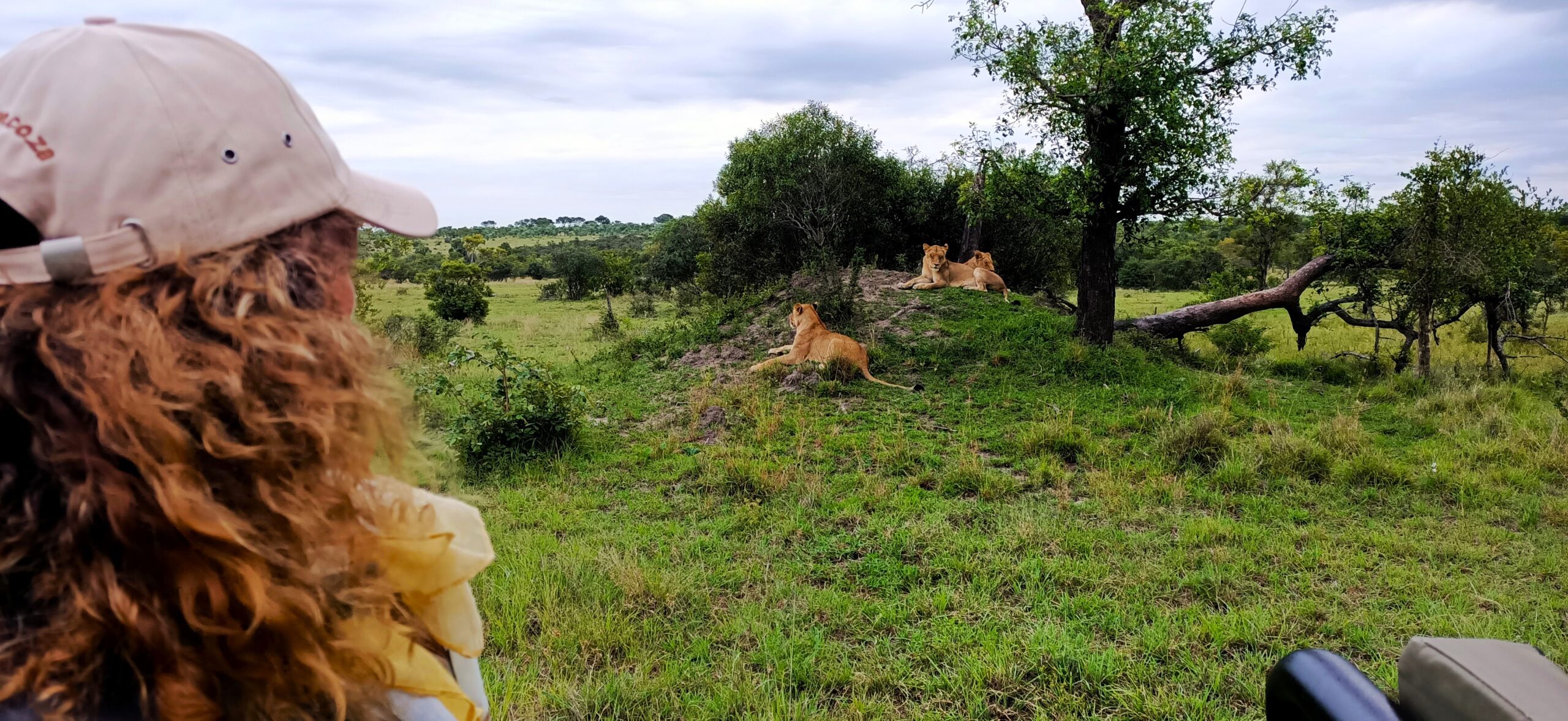 Safari Kruger, Manyeleti